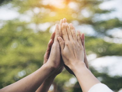 Image of four hands, palms together against a blurred green background