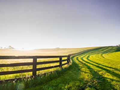 Field divided by a fence with long grass on left side and well maintained grass on right