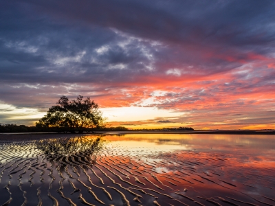 Image of sunrise over mudflats