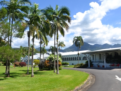 Mossman hospital Queensland palm trees daytime