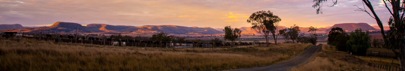 Stanthorpe sunset